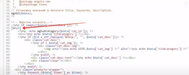 Вставка шорткода в views/catalog.php