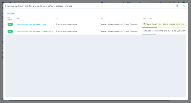 Список дублей в инструменте &laquo;Анализ сайта&raquo; Топвизора