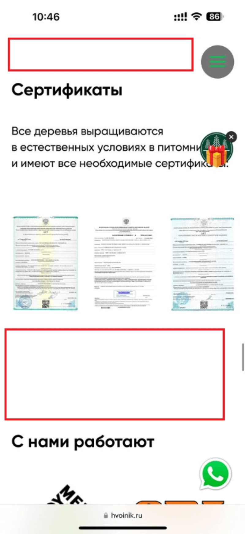 Мобильная версия до корректировки