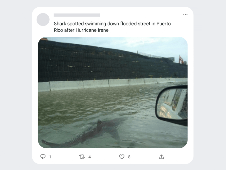 fact-check-explorer