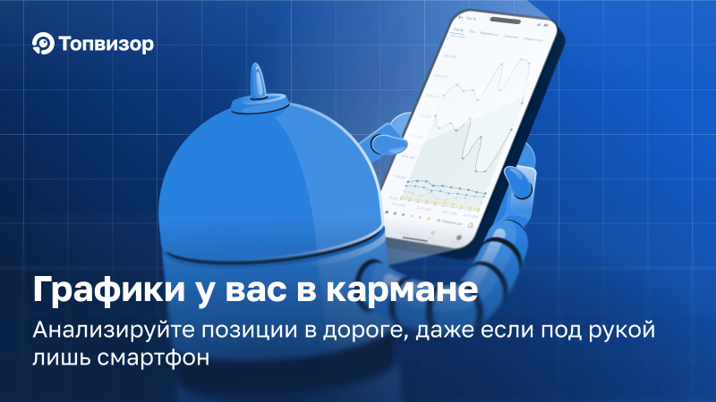 Графики в Проверке позиций отображаются в адаптиве