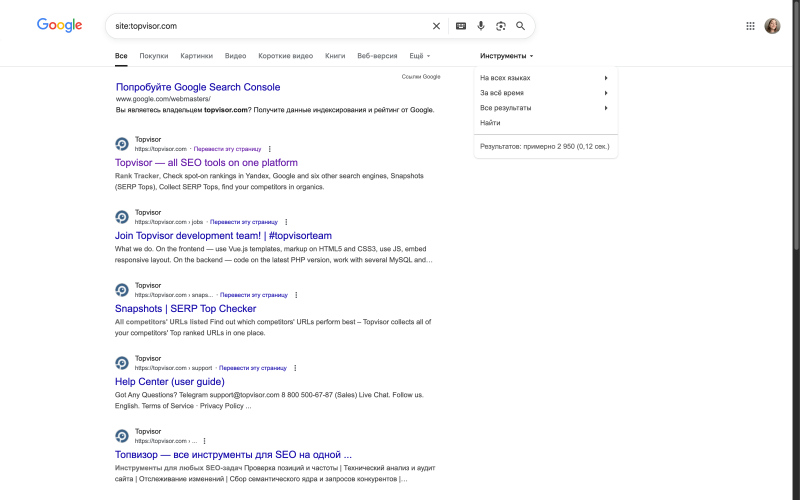 Ручная проверка индексации сайта в Google