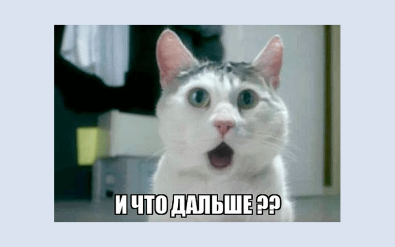 А дальше что?