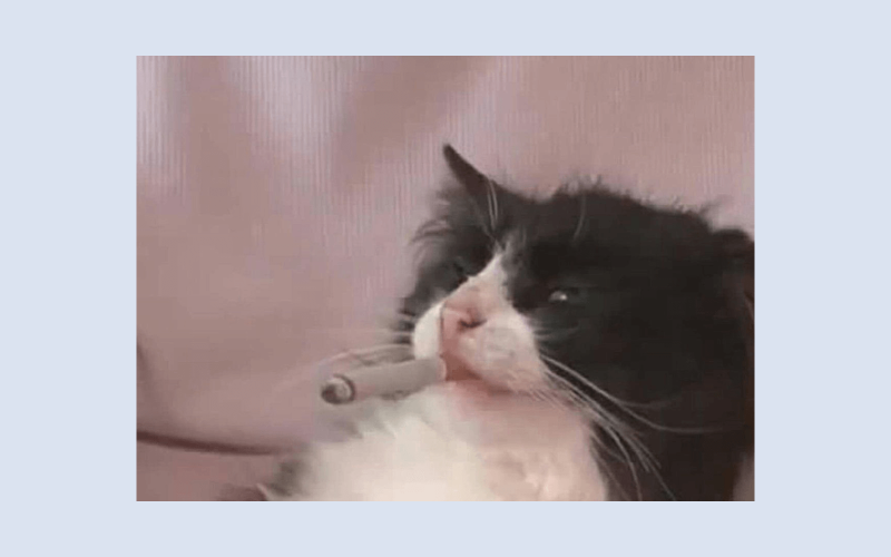 Мы весь 2025 год