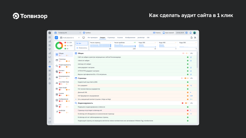 Интерфейс Анализа сайта