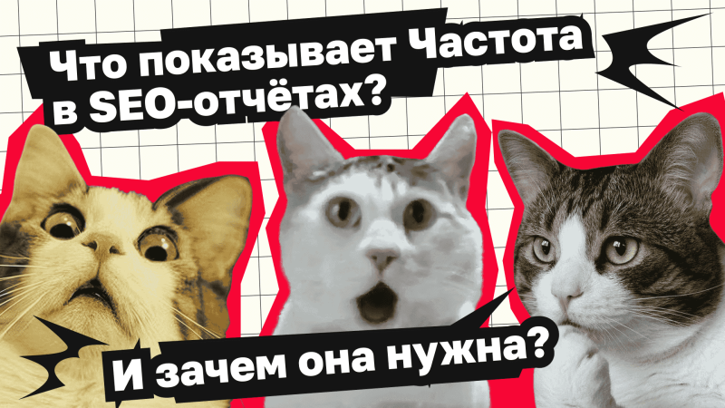 Что показывает частота запросов в SEO-отчётах? И почему клиентам стоит про это знать?