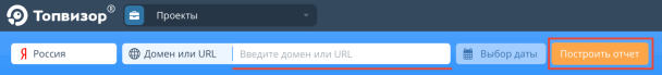 Построение отчёта в Топвизоре
