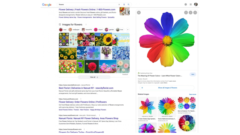 google-image-preview-overlay-web-search