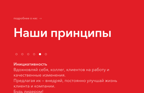 Башук & Чичканов: принципы