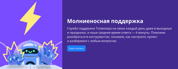 Страница Топвизора