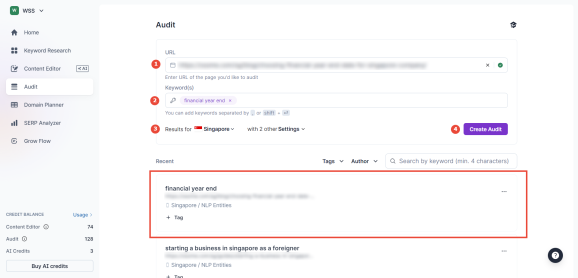 surferseo-результаты-аудита